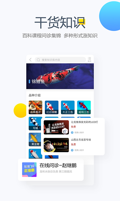 龙巅app安卓版