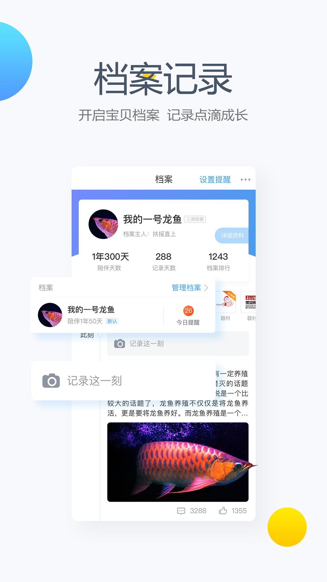 龙巅app安卓版