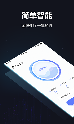 golink加速器 国内版