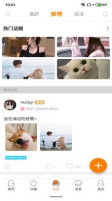 豚缘交友app官方版图片1