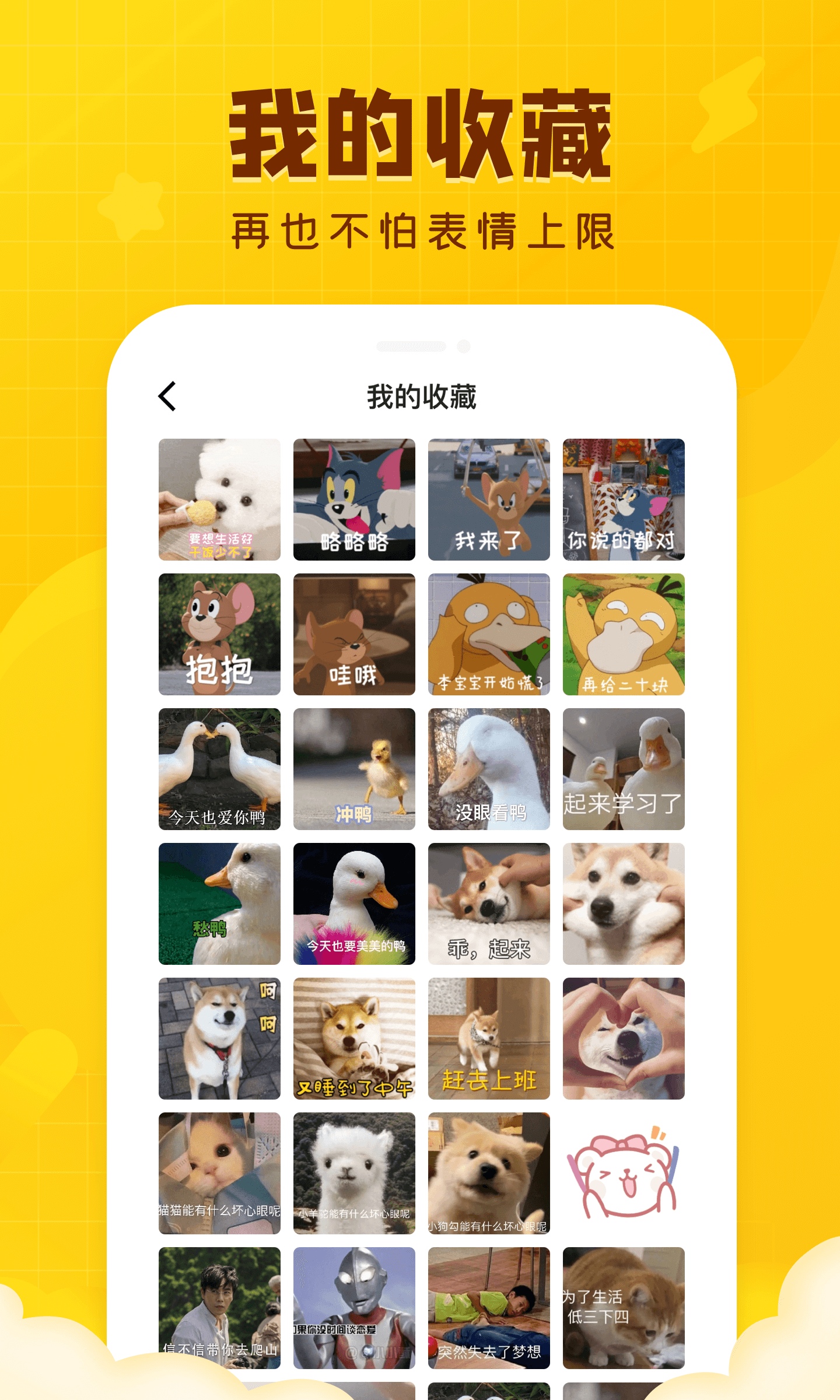闪萌表情最新版app