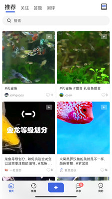 鲲天下app最新版