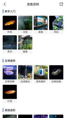 鲲天下app最新版