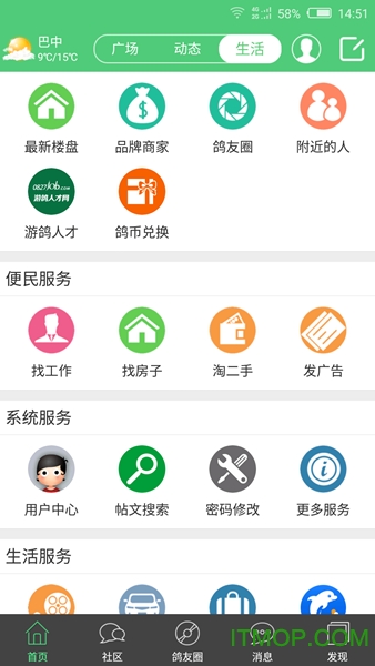 游鸽网
