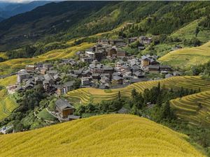 文旅部：加大力度整治不合理低价游 依法查处导游强迫购物行为