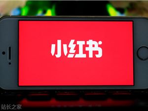 拆解小红书3个百万博主，房琪KIKI、料理猫王....到底做对了什么？