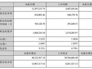 宁德时代发布2022半年报：净利润81.68亿元 同比暴增82.17%
