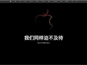 手机还没开卖：PANDAER上架iPhone14系列手机壳