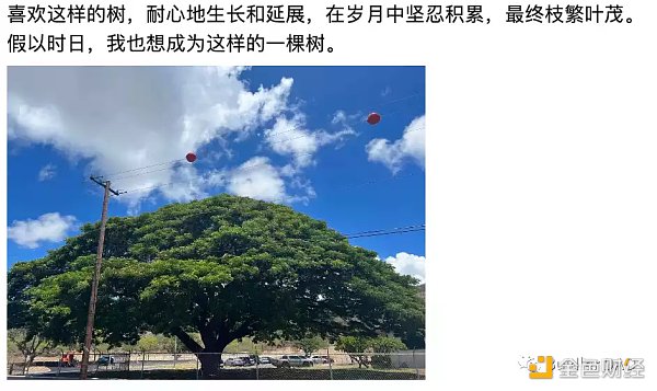 Women in Web3：区块链的超级女性力量-第2张图片-欧易下载