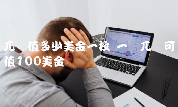 兀币值多少美金一枚 一个兀币可值100美金 兀币值多少美金一枚 一个兀币可值100美金