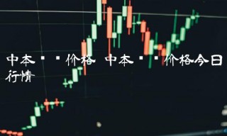 中本聪币价格 中本聪币价格今日行情