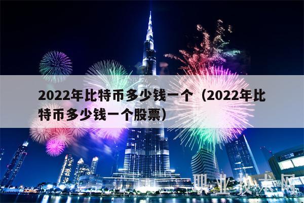 2022年比特币多少钱一个(2022年比特币多少钱一个股票)
