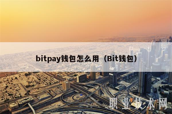 bitpay钱包怎么用（Bit钱包）-第1张图片-欧易下载
