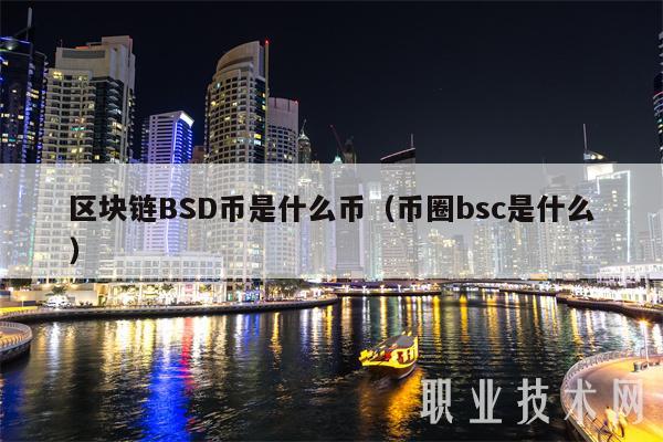 区块链BSD币是什么币(币圈bsc是什么)