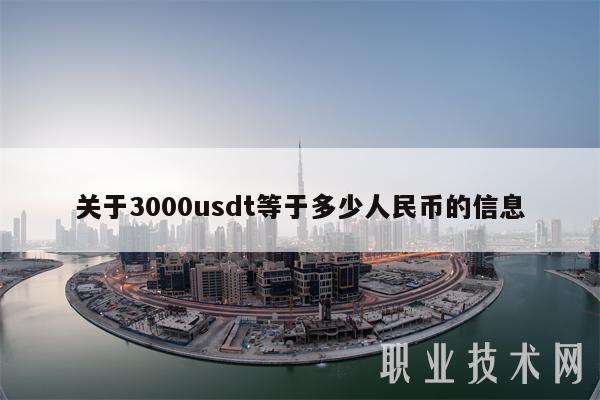 关于3000usdt等于多少人民币的信息