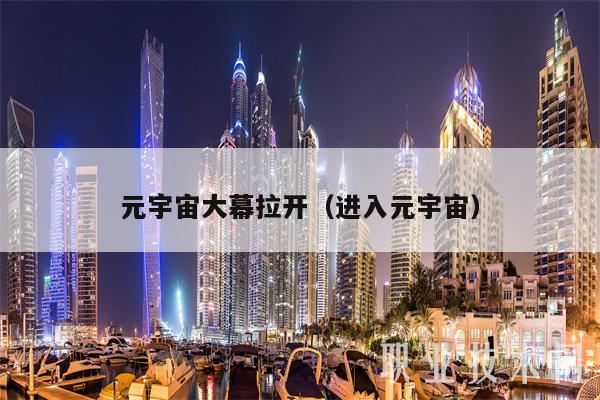 元宇宙大幕拉开(进入元宇宙)