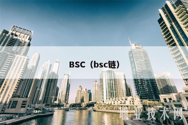 BSC(bsc链)