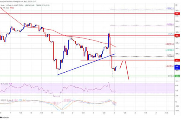 比特币今日最新价格是多少 BTC今日最新行情消息-第2张图片-欧易下载 比特币今日最新价格是多少 BTC今日最新行情消息-第2张图片-欧易下载