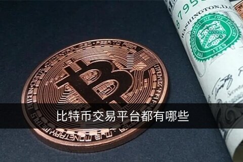 比特币交易平台都有哪些 怎么买比特币一文看懂！-第1张图片-欧易下载
