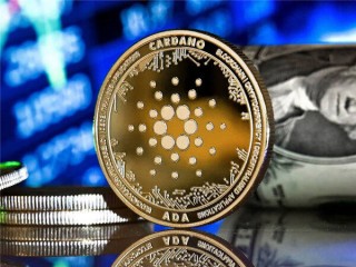 满币网官方(满币网官方下载)