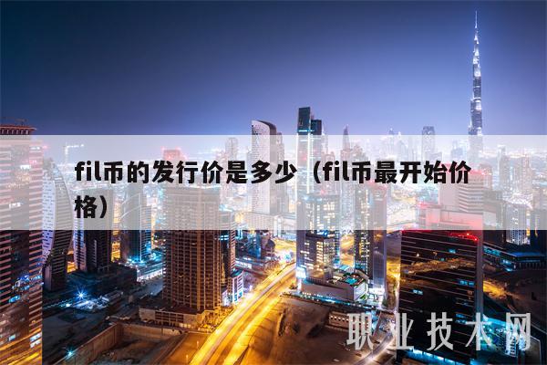fil币的发行价是多少(fil币最开始价格)