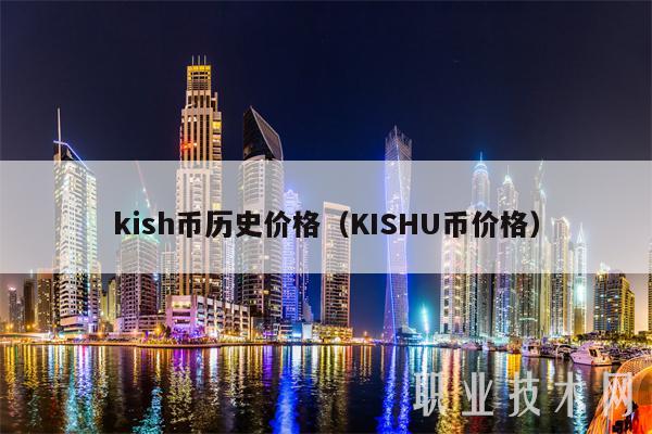 kish币历史价格(KISHU币价格)