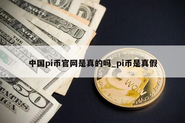 中国pi币官网是真的吗_pi币是真假