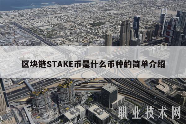 区块链STAKE币是什么币种的简单介绍