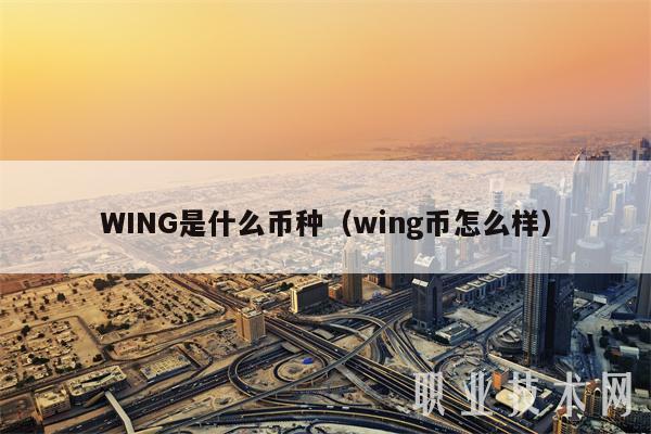 WING是什么币种(wing币怎么样)