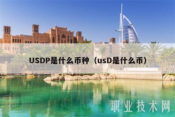 USDP是什么币种(usD是什么币)