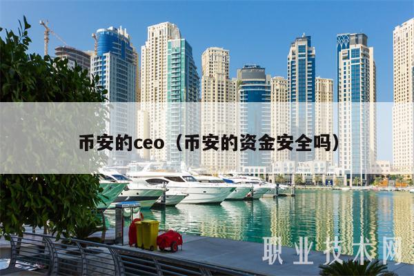 binance的co（binance的资金安全吗-第1张图片-欧易下载