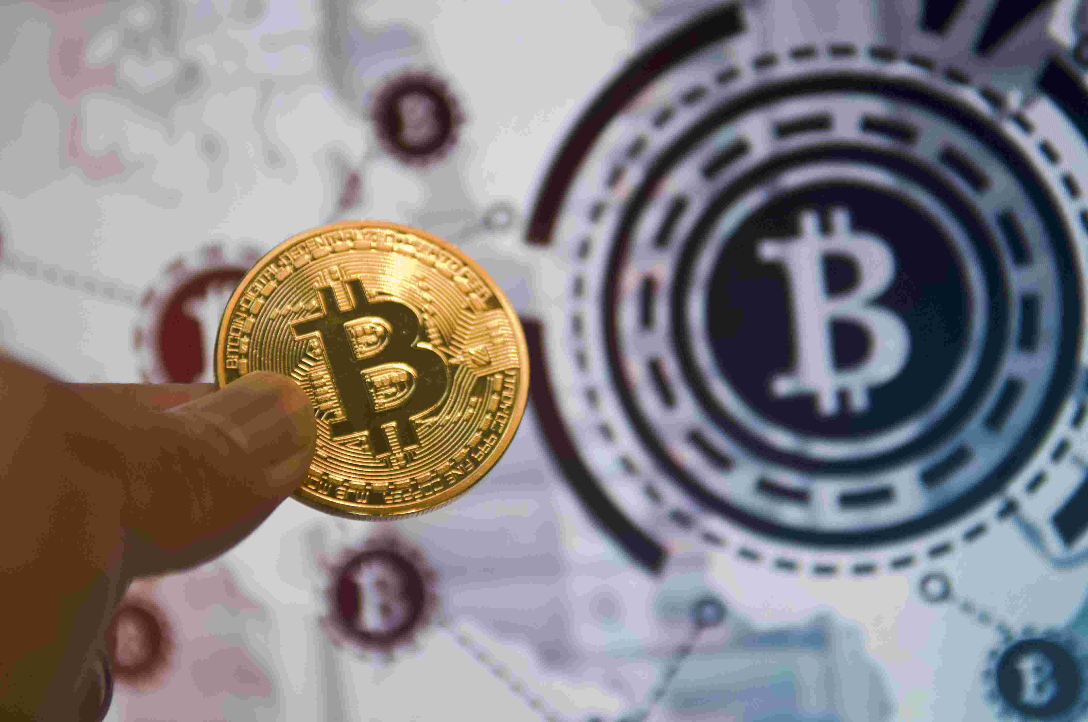 猫币（猫币第二天会清零吗）-第3张图片-欧易下载