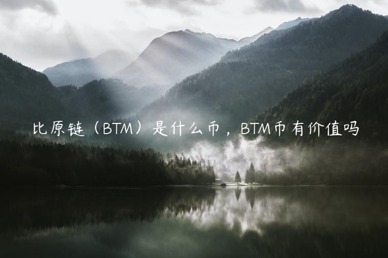 比原链(BTM)是什么币,BTM币有价值吗-第1张图片-欧易下载 比原链(BTM)是什么币,BTM币有价值吗-第1张图片-欧易下载