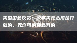 美国国会议员：数字美元必须是开放的、无许可的和私有的