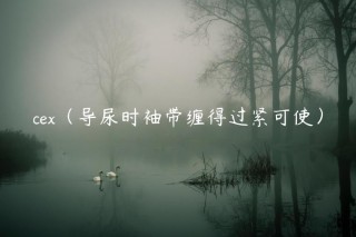 c（导尿时袖带缠得过紧可使）