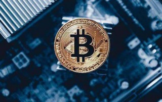 DP币近期行情如何