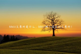 BBK交易所是什么，BBK哪个国家的交易所！