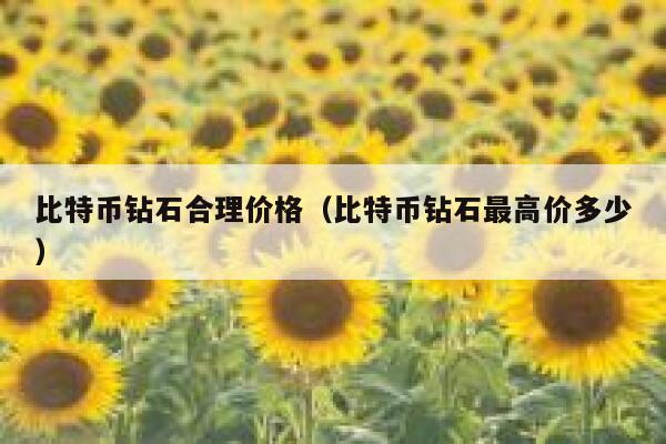 比特币钻石合理价格（比特币钻石最高价多少）-第1张图片-欧易下载