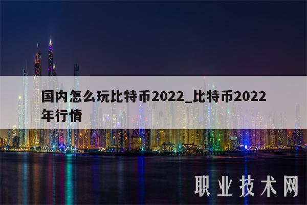 国内怎么玩比特币2022_比特币2022年行情