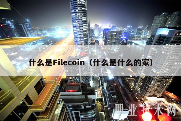 什么是Filecoin(什么是什么的家)