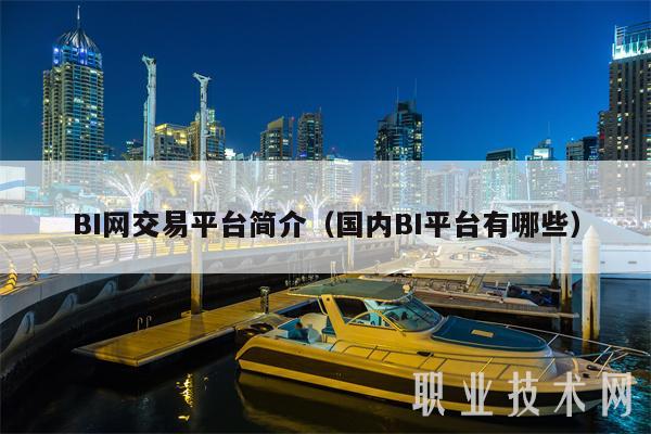 BI网交易平台简介(国内BI平台有哪些)