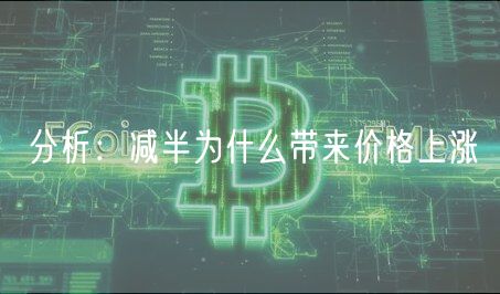 分析:减半为什么带来价格上涨-第1张图片-欧易下载 分析:减半为什么带来价格上涨-第1张图片-欧易下载