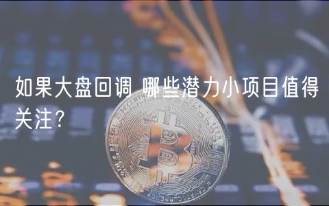 如果大盘回调 哪些潜力小项目值得关注?-第1张图片-欧易下载 如果大盘回调 哪些潜力小项目值得关注?-第1张图片-欧易下载