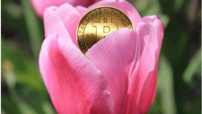 荷兰 郁金香事件,荷兰郁金香事件给投资者的启示-第1张图片-欧易下载 荷兰 郁金香事件,荷兰郁金香事件给投资者的启示-第1张图片-欧易下载