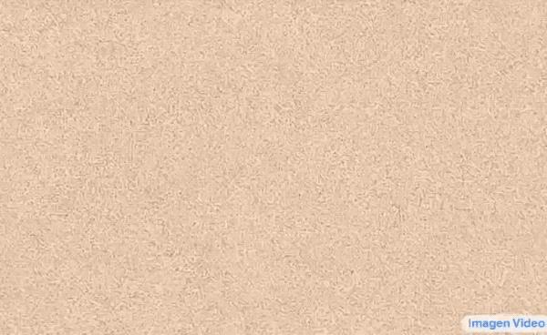 chat down,chatplus-第4张图片-欧易下载 chat down,chatplus-第4张图片-欧易下载