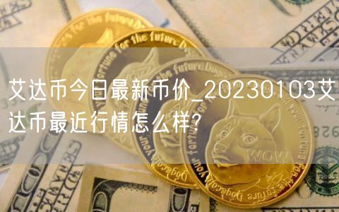 艾达币今日最新币价_20230103艾达币最近行情怎么样?-第1张图片-欧易下载 艾达币今日最新币价_20230103艾达币最近行情怎么样?-第1张图片-欧易下载
