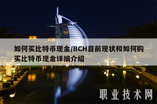 如何买比特币现金/BCH目前现状和如何购买比特币现金详细介绍