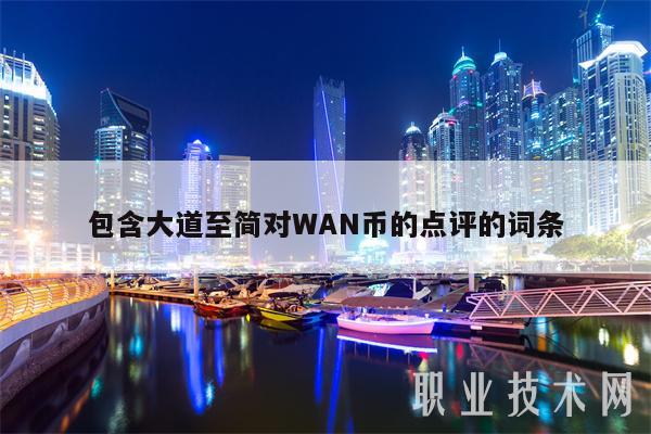 包含大道至简对WAN币的点评的词条