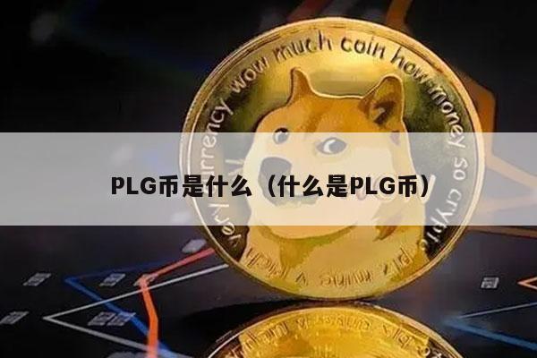 PLG币是什么(什么是PLG币)