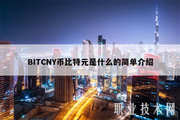 BITCNY币比特元是什么的简单介绍